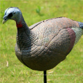 Tourbon guangzhou fabricante espuma caza pavo señuelo / caza juego de pavo